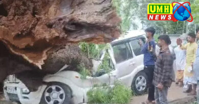 यूपी में तूफान-बारिश, मां-बेटे समेत 55 की मौत